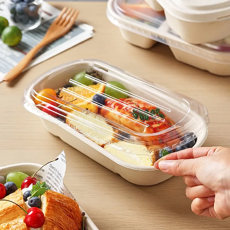 1000ml Kotak Makanan Ringan Biodegradasi Tebu